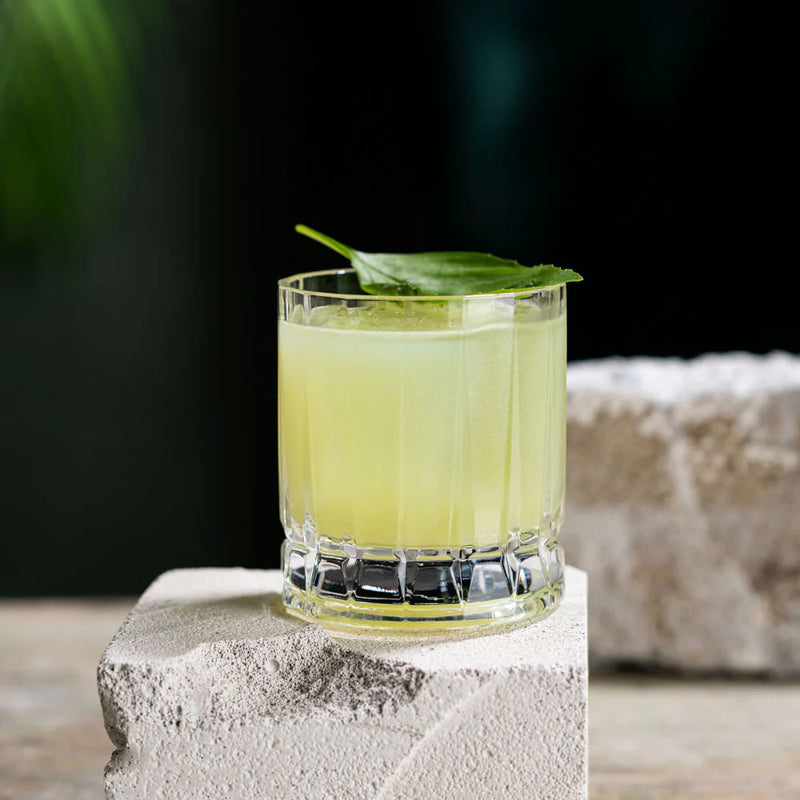 Basil Smash cocktail served in a rocks glass, garnished with a basil leaf, showcasing a refreshing green drink.